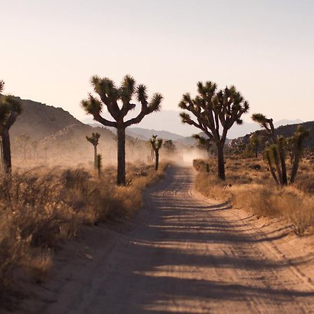 Modern Desert Dream - New Build Twentynine Palms Eksteriør bilde